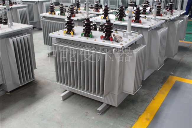 宣城S22-100KVA/10KV/0.4KV变压器